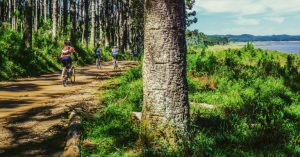 Cycling holidays are easy with Luggage Mule